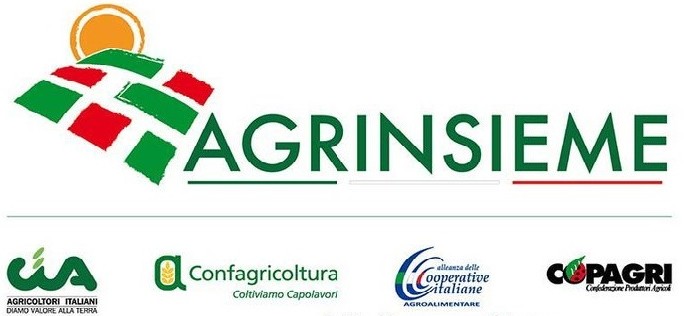 agrinsieme Logo